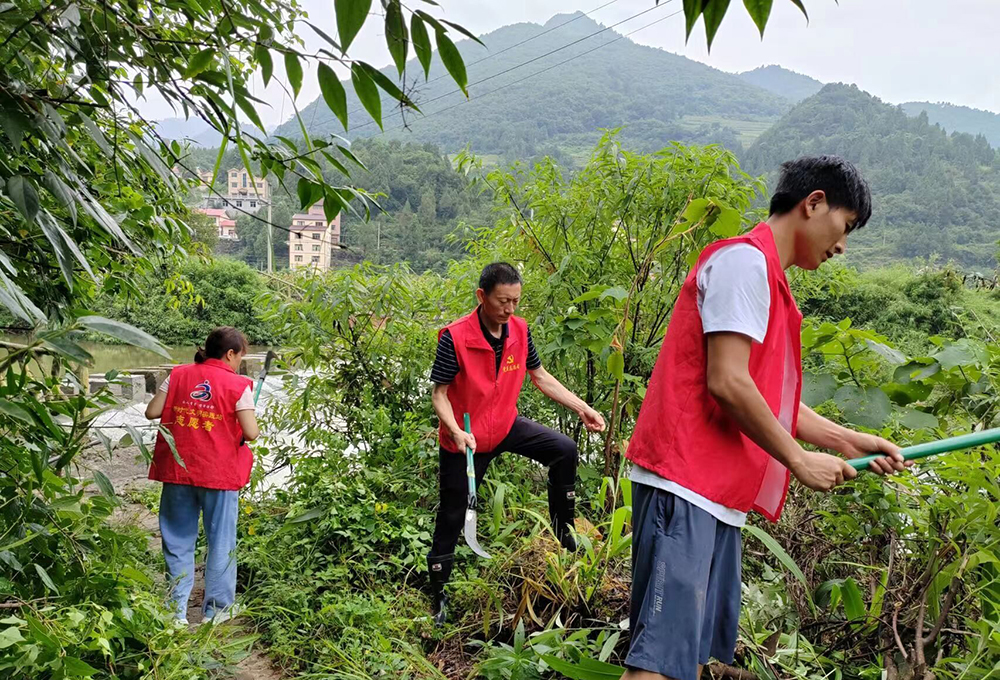 图3 长岗镇茶花村环境整治行动.jpg