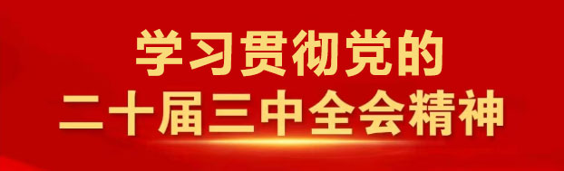 学习贯彻二十届三中全会精神