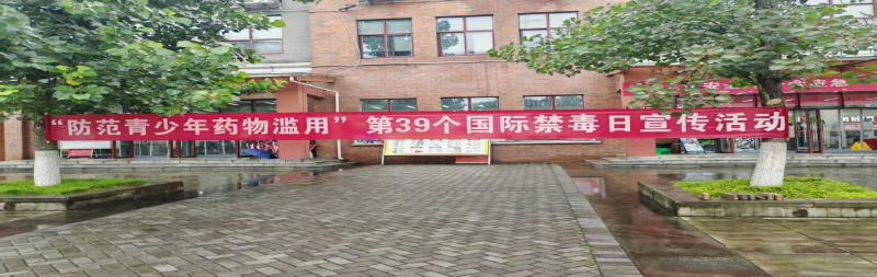 茅台学院开展第39个国际禁毒日主题      宣传活动